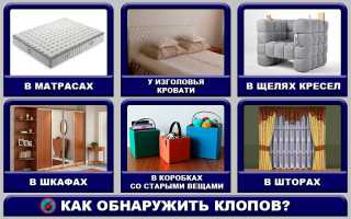 Эффективные методы уничтожения клопов: тепловая пушка