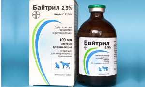 Байтрил для котов